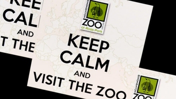 Binghamton Zoo Custom Square Stickers