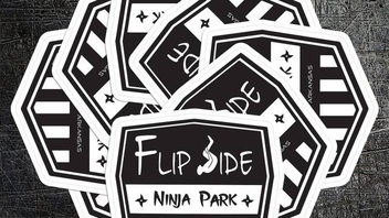 Flipside Ninja Park Die Cut Stickers