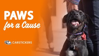 Street Dog Hero Partnership