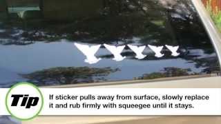 How To Install The Whale Tail Family Stickers