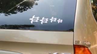 How To Install The Turtle Family Stickers