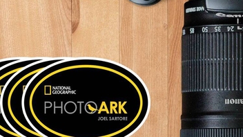 Photo Ark Oval Cling Stickers