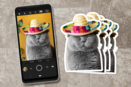 Cat Photo Stickers