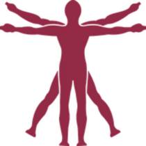 Chiropractor Stickers and Decals