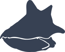 Funky Seashell Sticker