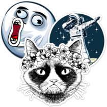 Meme Stickers