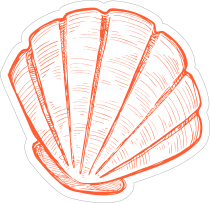 Orange Hand Drawn Scallop Sticker