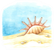 Watercolor Background With Large Shell Sticker