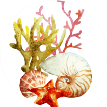 Watercolor Sea Elements Sticker