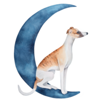 Whippet Sitting Moon Sticker